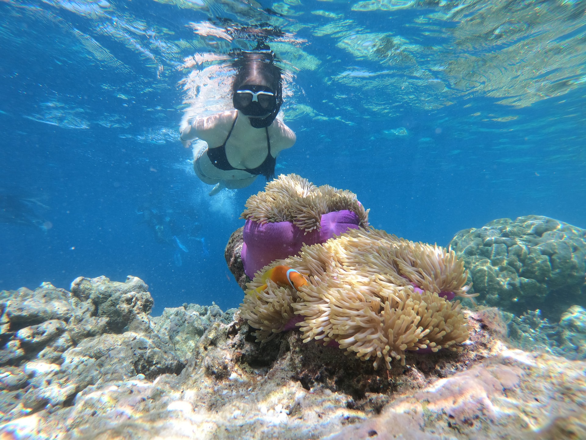 Snorkeling